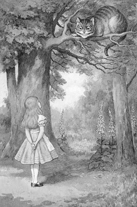 Alice and the Cheshire Cat illustration